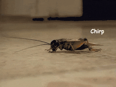 1644981592312.gif