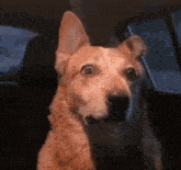 1712774195282.gif