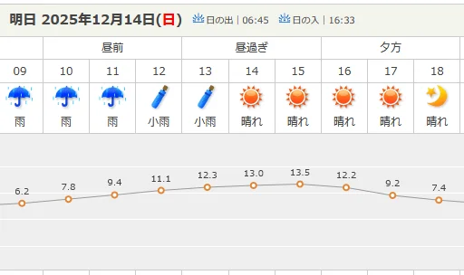 1765632440599.webp