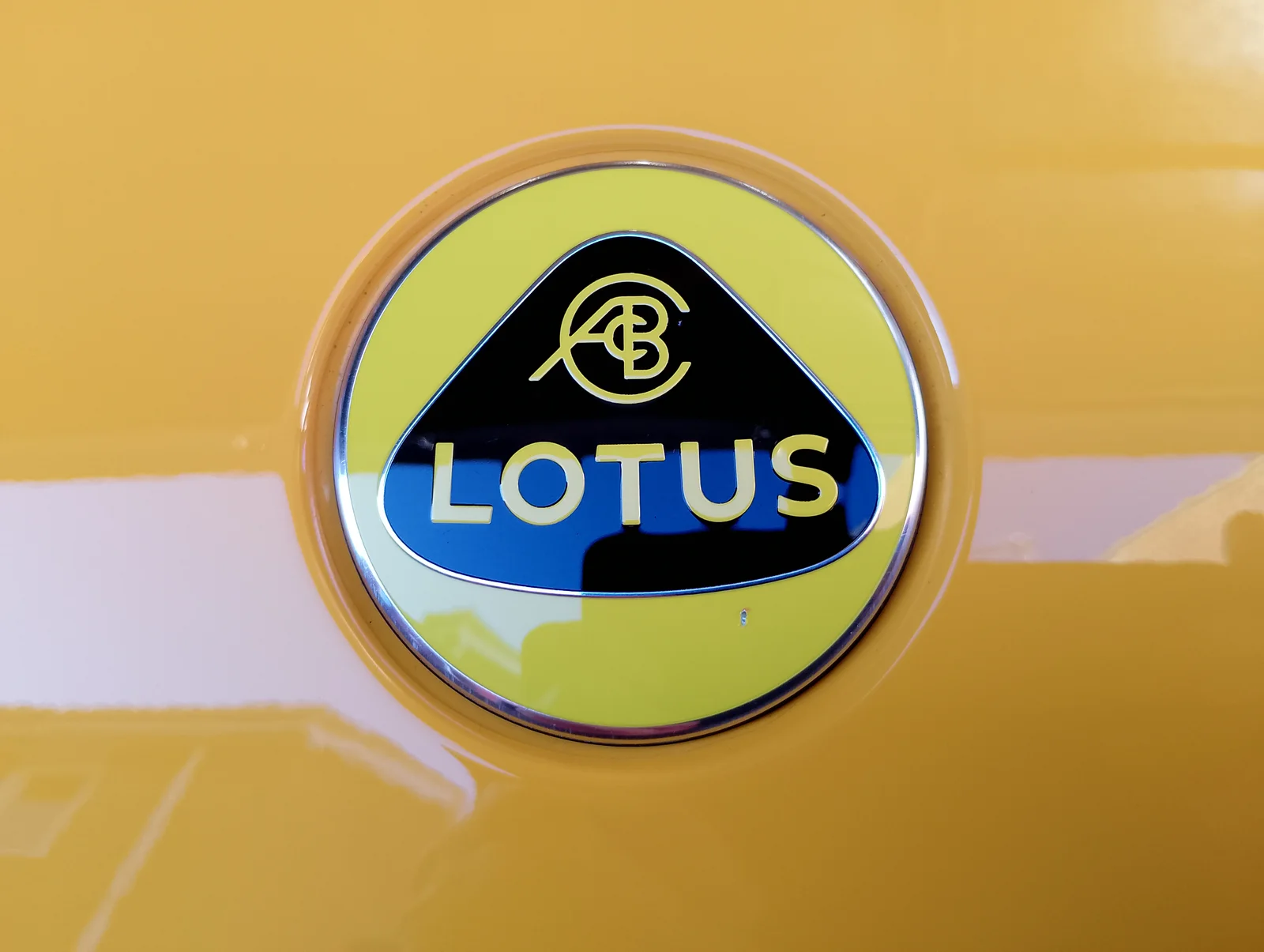 2025-03-04 Nose Badge Ding.webp