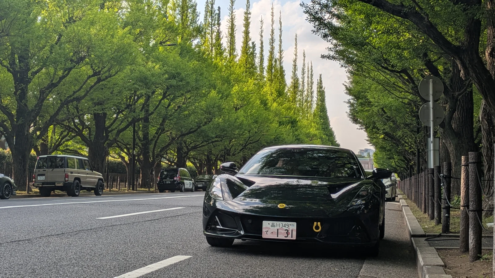 260420-IchoNamiki03.webp