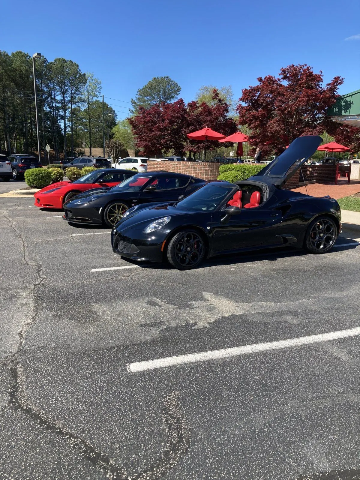 437044325_10231262844417334_8779787238732178923_n.webp