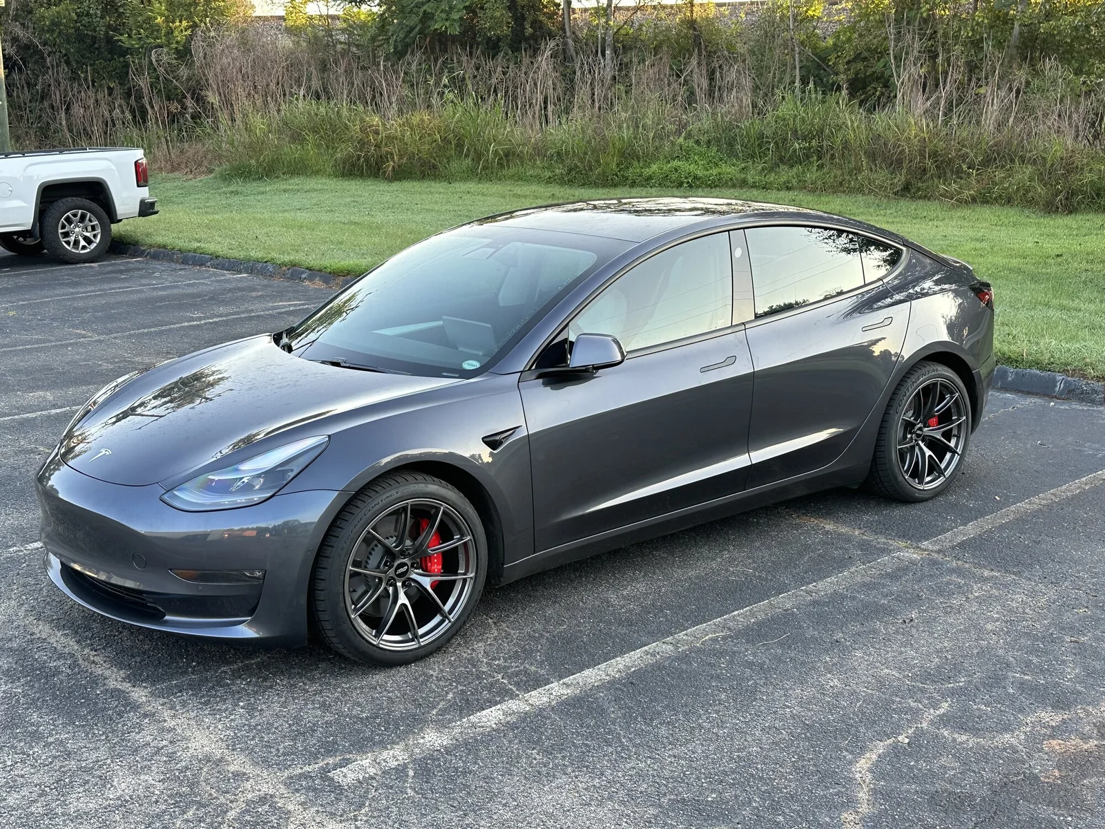 APEX VS5RS on Model 3 P.webp