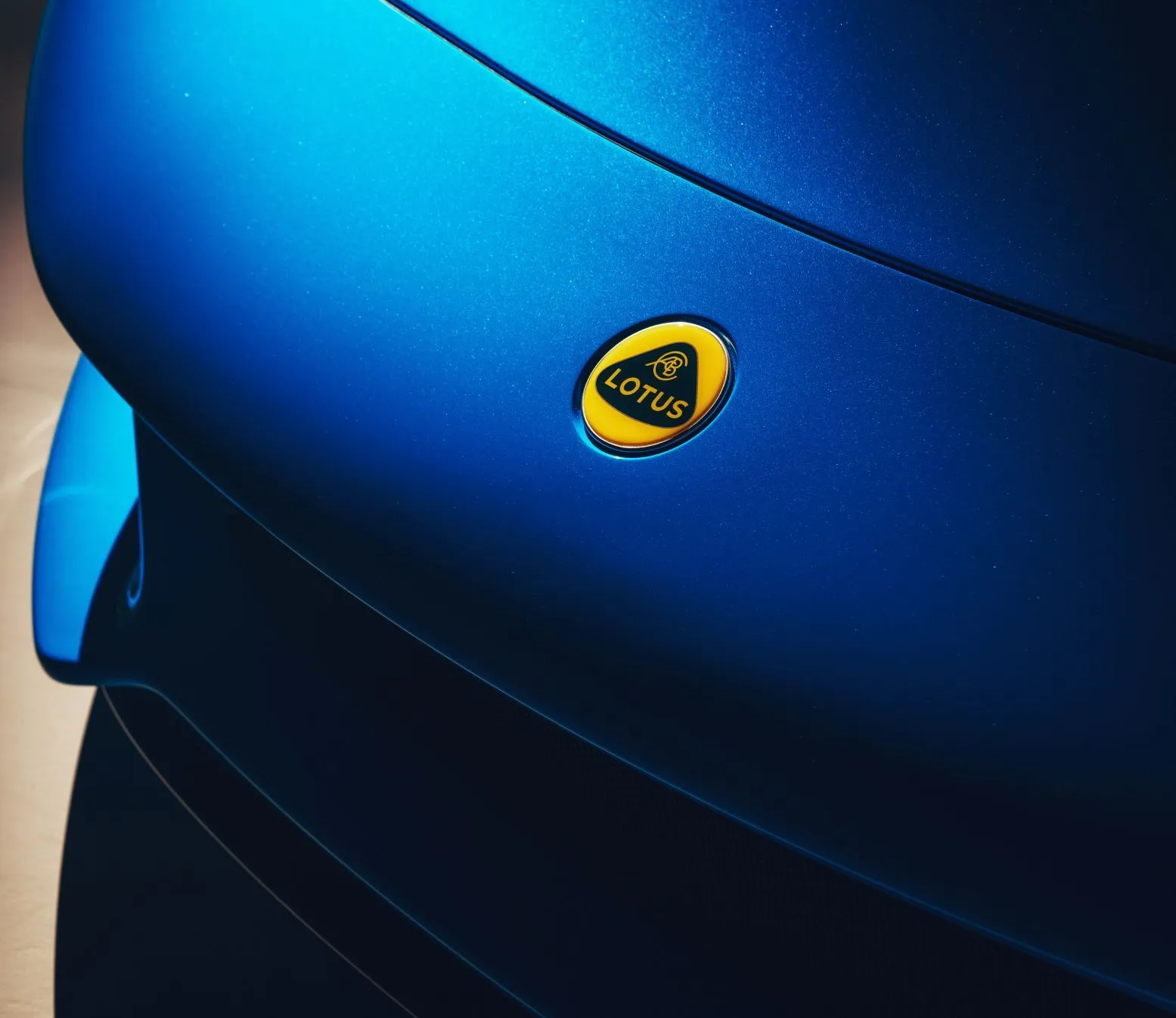blue-nohoodseal-2m.jpg