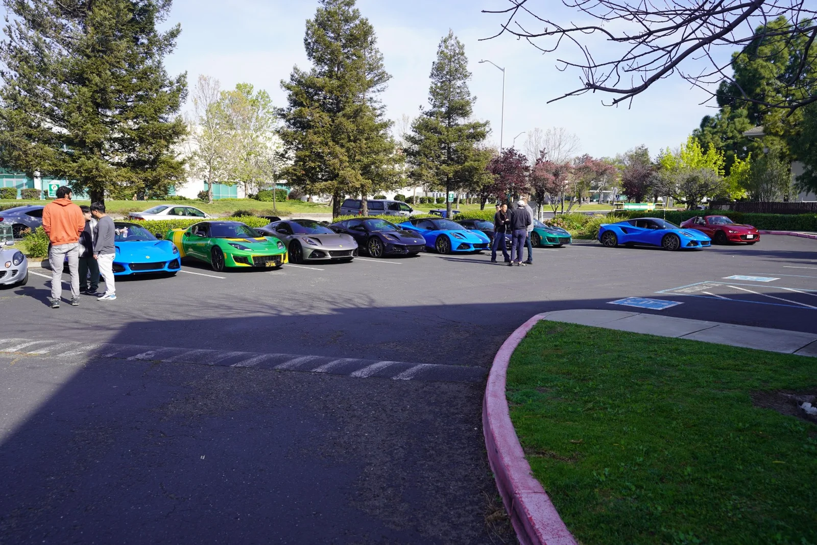 DSC03264 (Large).webp