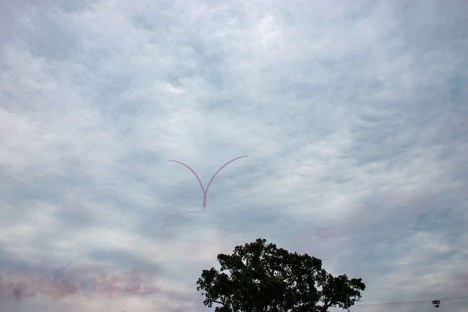 DSC_0100.jpg