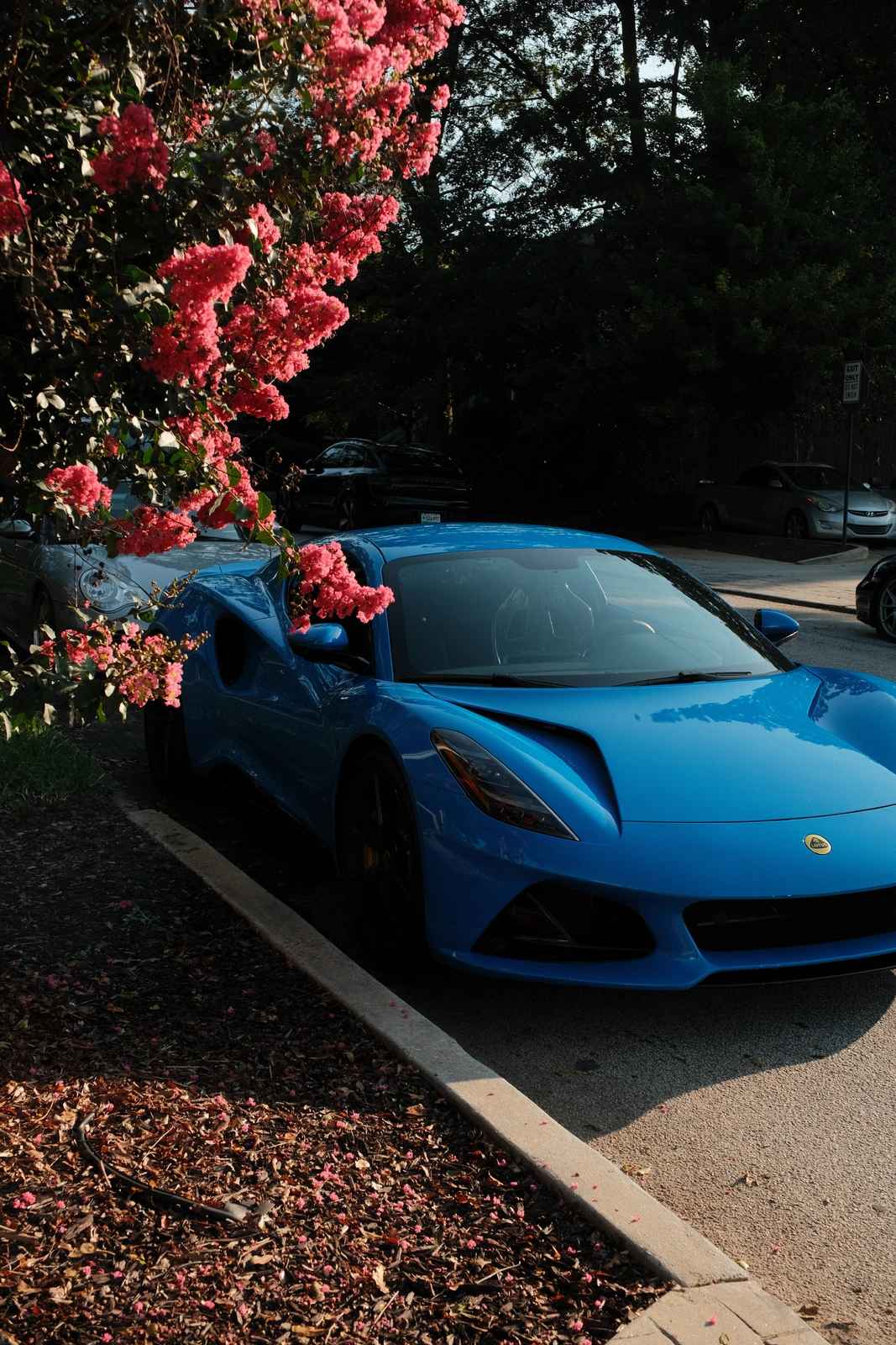 DSCF5160.webp