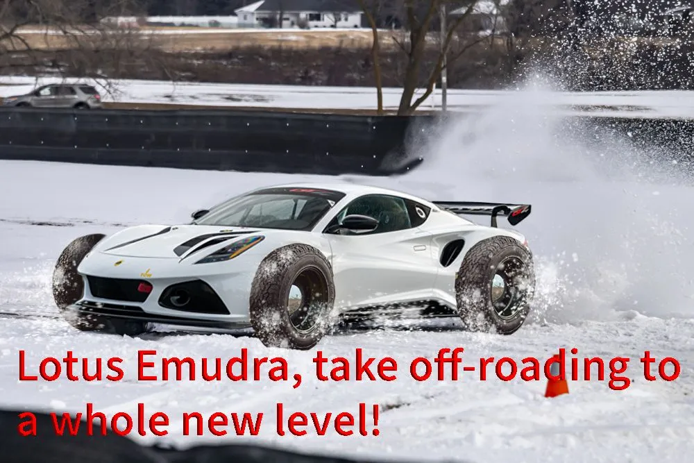 Emudra copy.webp