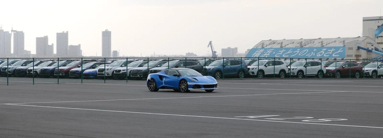 IMG_0930-cropped.webp
