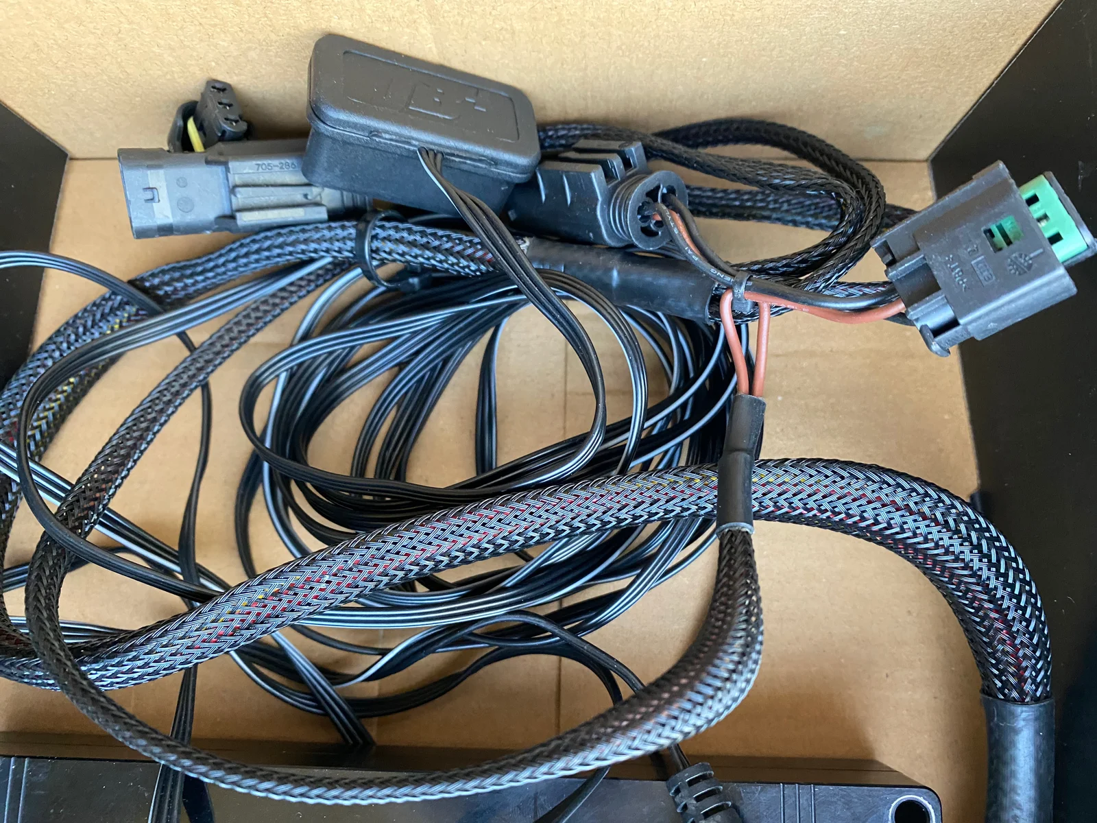 IMG_9564.webp IMG_9564.webp