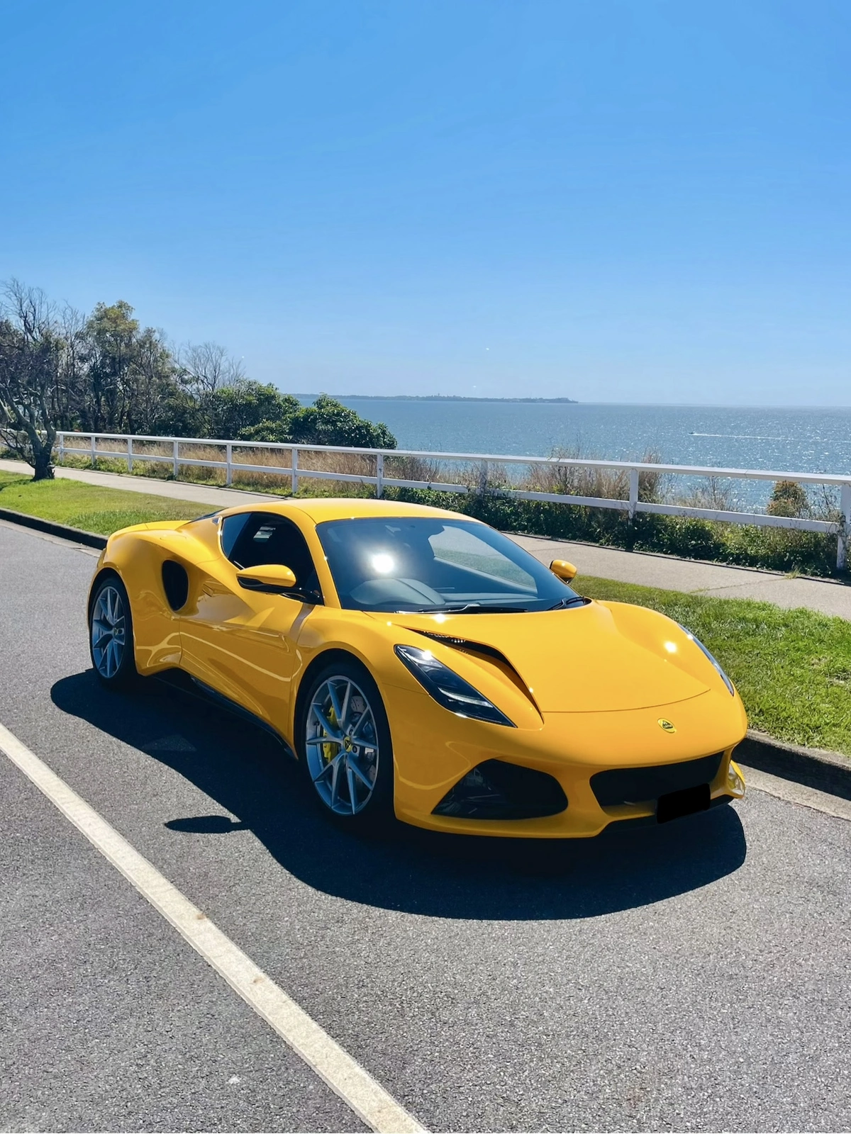 lotus3 2.webp