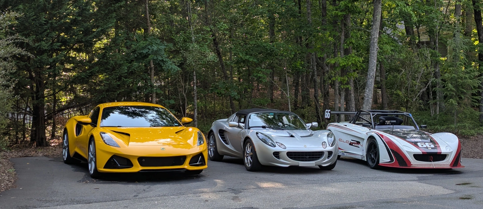 Lotus_3_front.webp