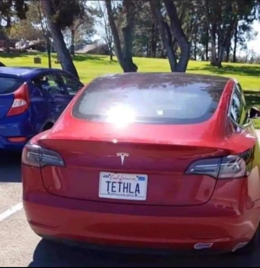 MT Tesla.webp