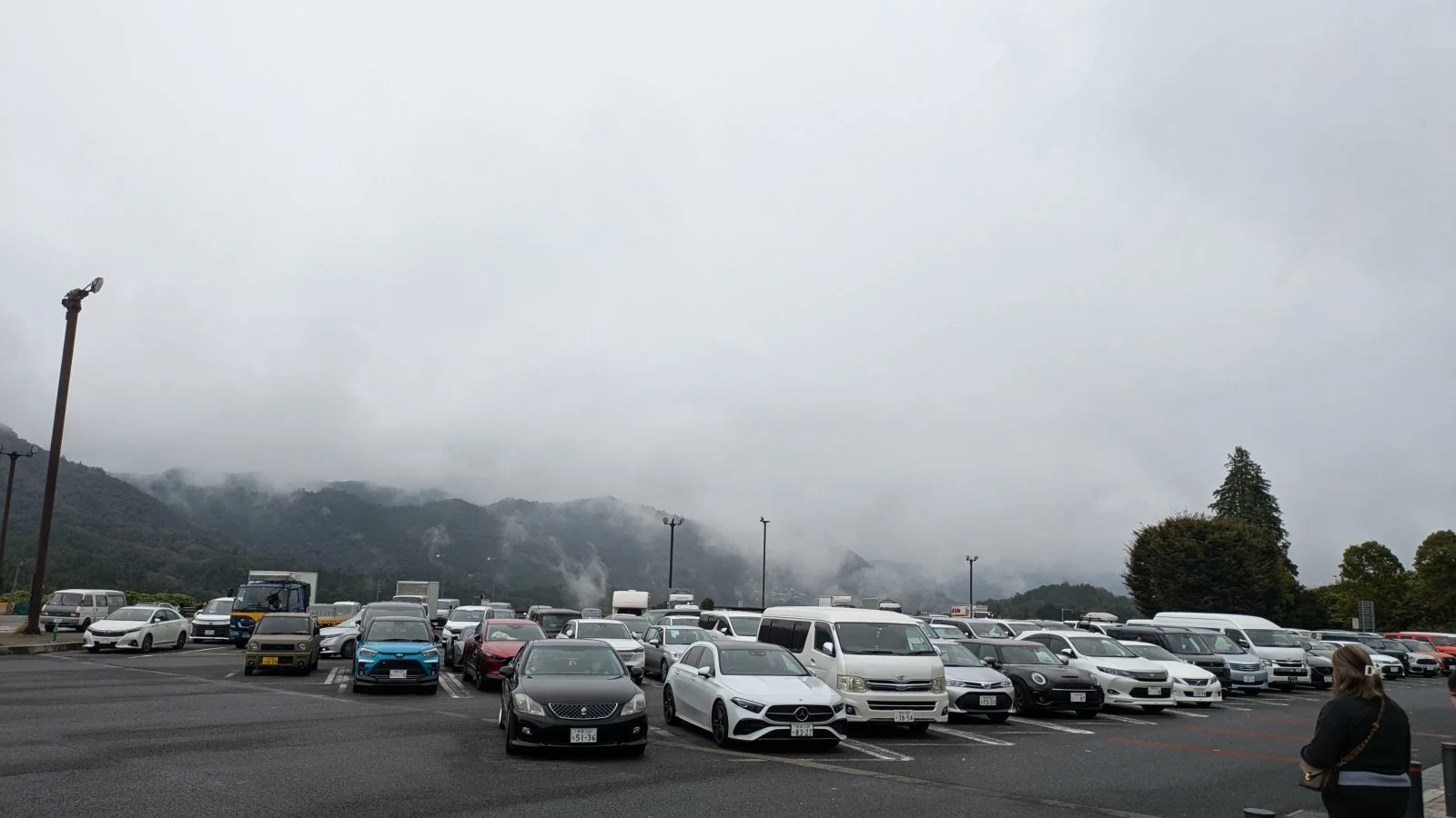 PXL_20241025_005546405.RAW-01.COVER.webp