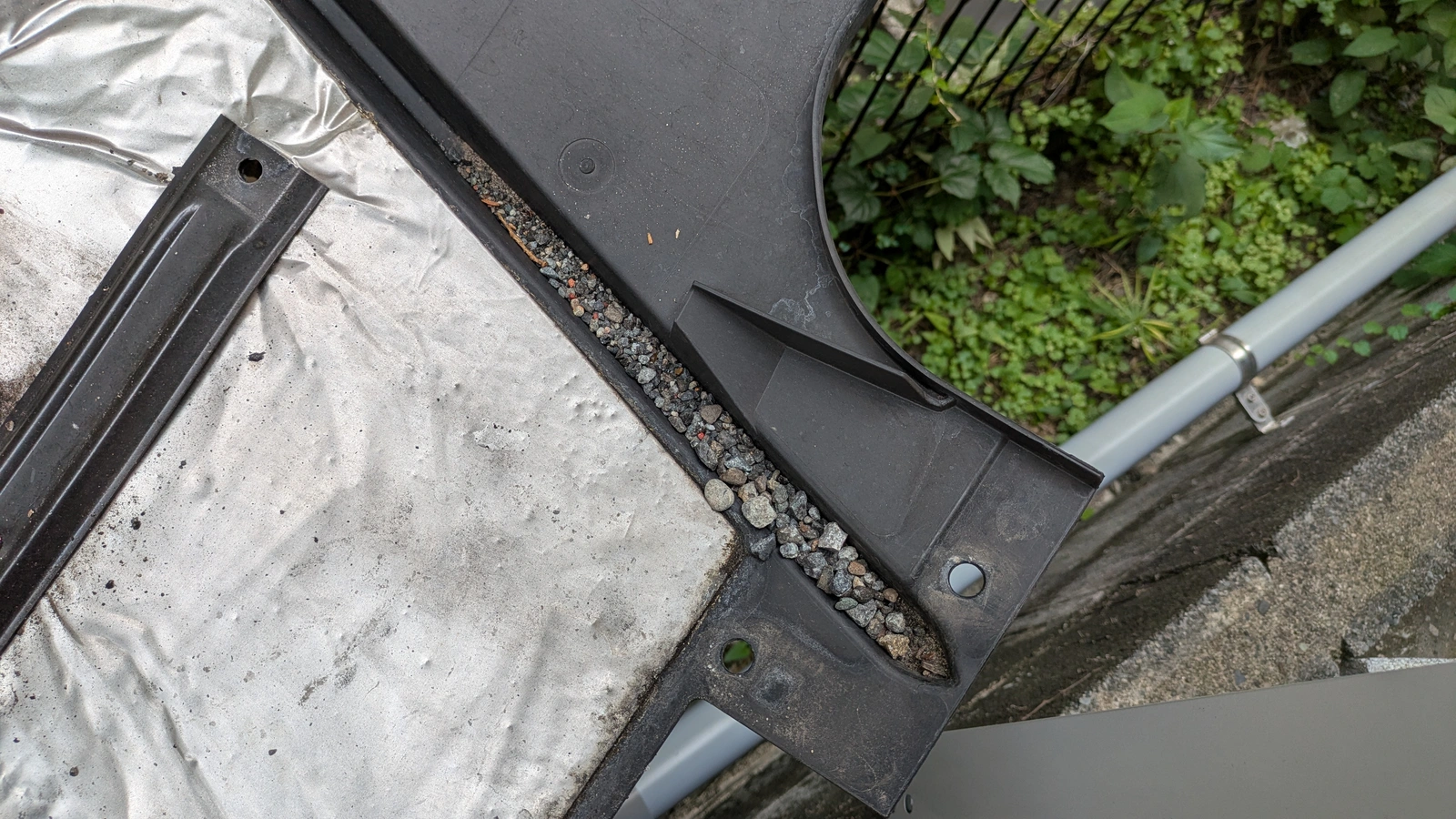 PXL_20250712_022015999.RAW-01.COVER.webp