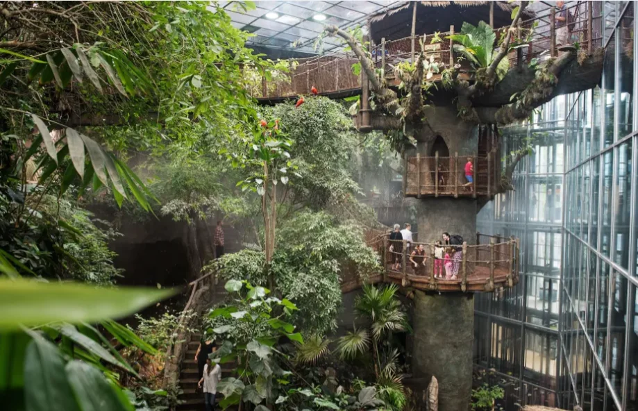 universeum rainforest.webp