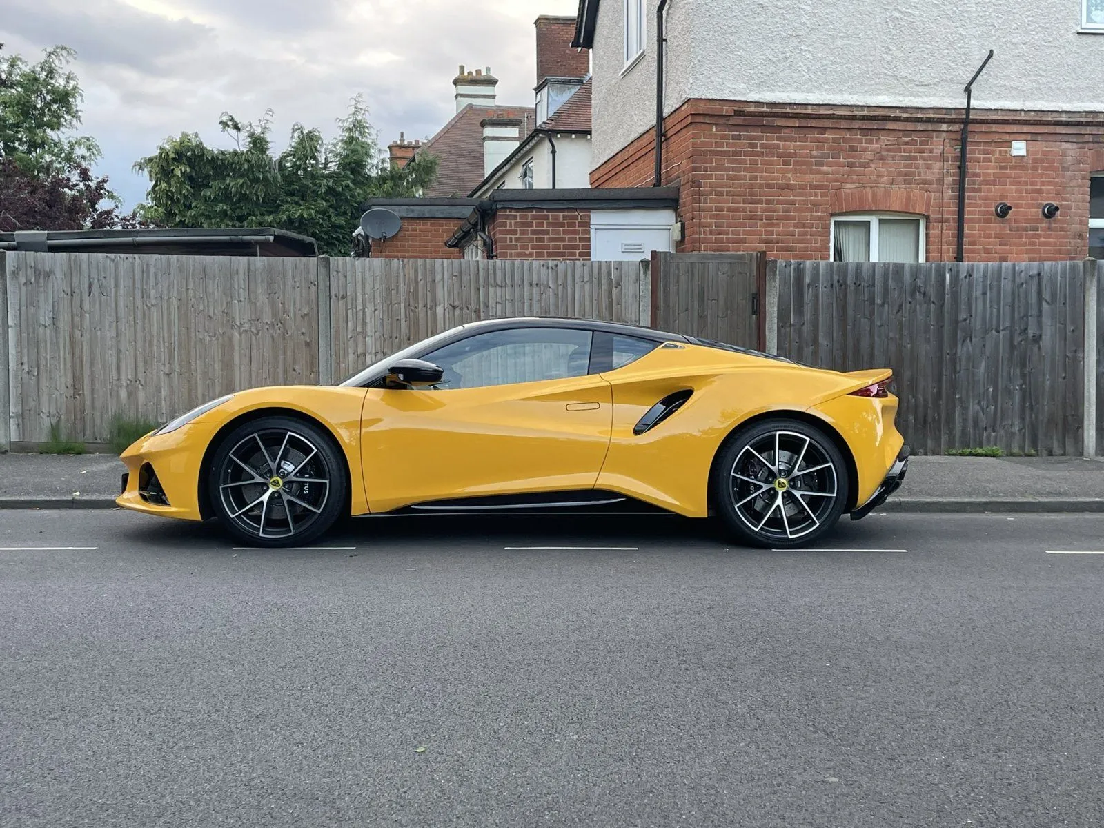 yellow_emira-jpg.5894