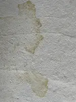 IMG_4706.webp