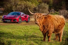 Photo contest thumbnail