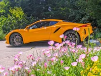 Photo contest thumbnail