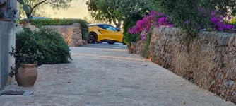 Photo contest thumbnail