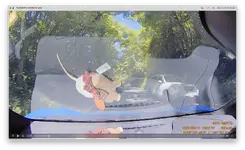 Screenshot 2024-08-12 at 14.20.48.webp