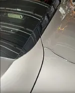 trunk.webp
