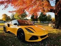 Photo contest thumbnail