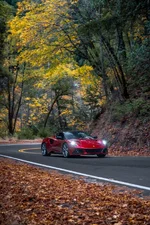 Photo contest thumbnail