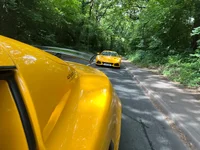 Photo contest thumbnail