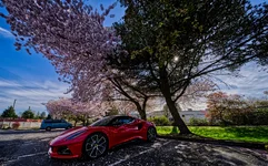 Photo contest thumbnail