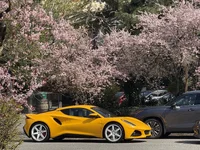 Photo contest thumbnail