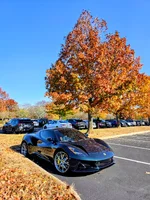 Photo contest thumbnail