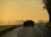 Photo contest thumbnail