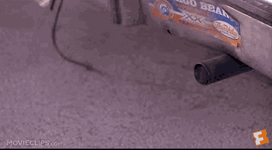 Whipped.gif