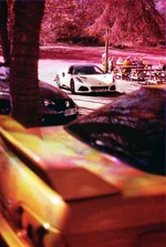 Photo contest thumbnail
