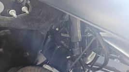 inner right wing.webp