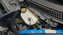 d-uncovered.webp