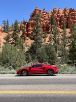 Photo contest thumbnail