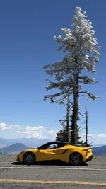 Photo contest thumbnail