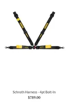 Schroth Harness.webp
