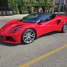 Bulls-Vivid-Red