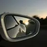 paulecar