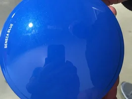 Appearance of Seneca Blue in person