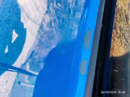 Paint blistering on replacement doors