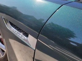 Mud flaps and Lotus fitted protected film