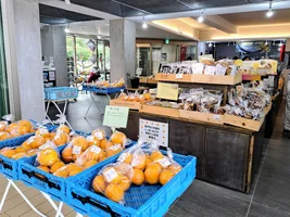 Japan - 2026/05/03 West Izu Tour (中部ロータス会 西伊豆ツーリング)
