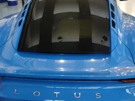 Lotus owners in Italy