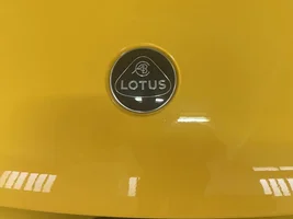 Black badges fitted