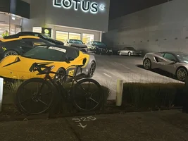 Lotus Auckland